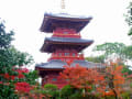 紅葉の中の豊前国分寺三重塔