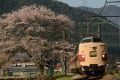 [60]2013.04.08　福知山線　381系（ＦＥ62）　3006Ｍレ.JPG