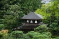 小雨ふる銀閣寺