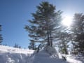 楽しい雪山歩き　八ヶ岳・縞枯山