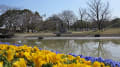 万博公園2019年3月