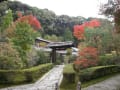 東福寺