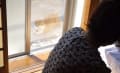 野良猫シリーズ　91