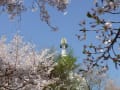 仏塔　篠栗　建正寺　彼女できた～！