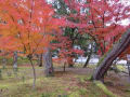 2017　京都・南禅寺の紅葉