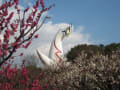 冬の万博記念公園。（23年）あの頃チャンネル(2010年02月14日～2010年02月20日)