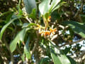 岡山県立森林公園