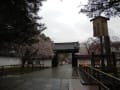 春の京都　山科～平安神宮～銀閣～東山