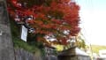 三次市尾関山と鳳源寺境内の紅葉