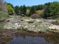 六甲高山植物園にて