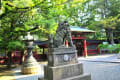 [26]根津神社　獅子後姿