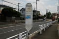 ７月４日（月）晴、梅雨の晴れ間？久しぶりのウオーキング、県立茅ヶ崎里山公園を撮り歩き。