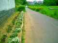 [12]2012514b 032.jpg