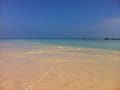 Ishigaki Island (2011.07.22-07.25)