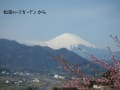 遠望 富士山