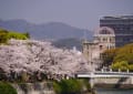 さくら散歩ーⅤ・広島市街地　200404