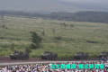 IMG_0174 IMG_0174