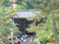 2017 奈良新緑⑪ 長谷寺 2017/5/4