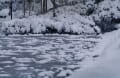 [48]金沢、兼六園の雪