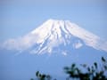 伊豆天城山周遊コースを登りました