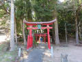 須賀神社のスギほか