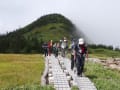 苗場山に登りました、山頂部は湿原です