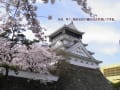 桜に埋もれた小倉城