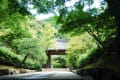 初夏の南禅寺そして永観堂 から