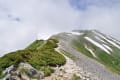 2012年7月17日　白馬岳～三国境～小蓮華山～白馬大池～栂池自然園