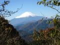 塔ノ岳登頂