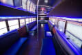 Party Bus For Atlanta | Black Bear Bus | 35 Passengers | 