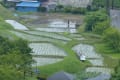 梅雨の里山２０１４　～渓流のある風景～