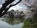 横浜市鶴見区　神奈川県立三ツ池公園