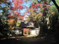 円光寺（河芸町）の紅葉