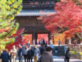 京都紅葉巡り：南禅寺！