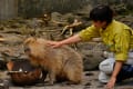 伊豆シャボテン公園02