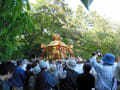 下御霊神社の環幸祭