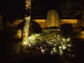 博多ライトアップウォーク2011から承天禅寺の石庭