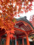 2923 奈良・瑜伽神社　紅葉