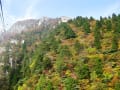 御在所岳・国見岳・青岳の紅葉（2015-10-20）