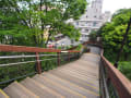 亀塚公園近くの階段