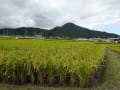 [23]DSC03346.JPG