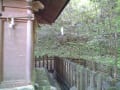 [5]幣立神社 (11).JPG