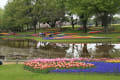 昭和記念公園の花