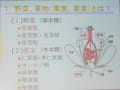 野菜と果実の栄養成分　さわやか大学講演資料