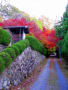 有馬温泉の紅葉