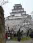 鶴ヶ城の桜