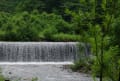 京都の緑、東北の緑　その１