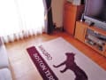 DOG RUG&MAT