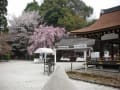 [13]上加茂神社 11.JPG